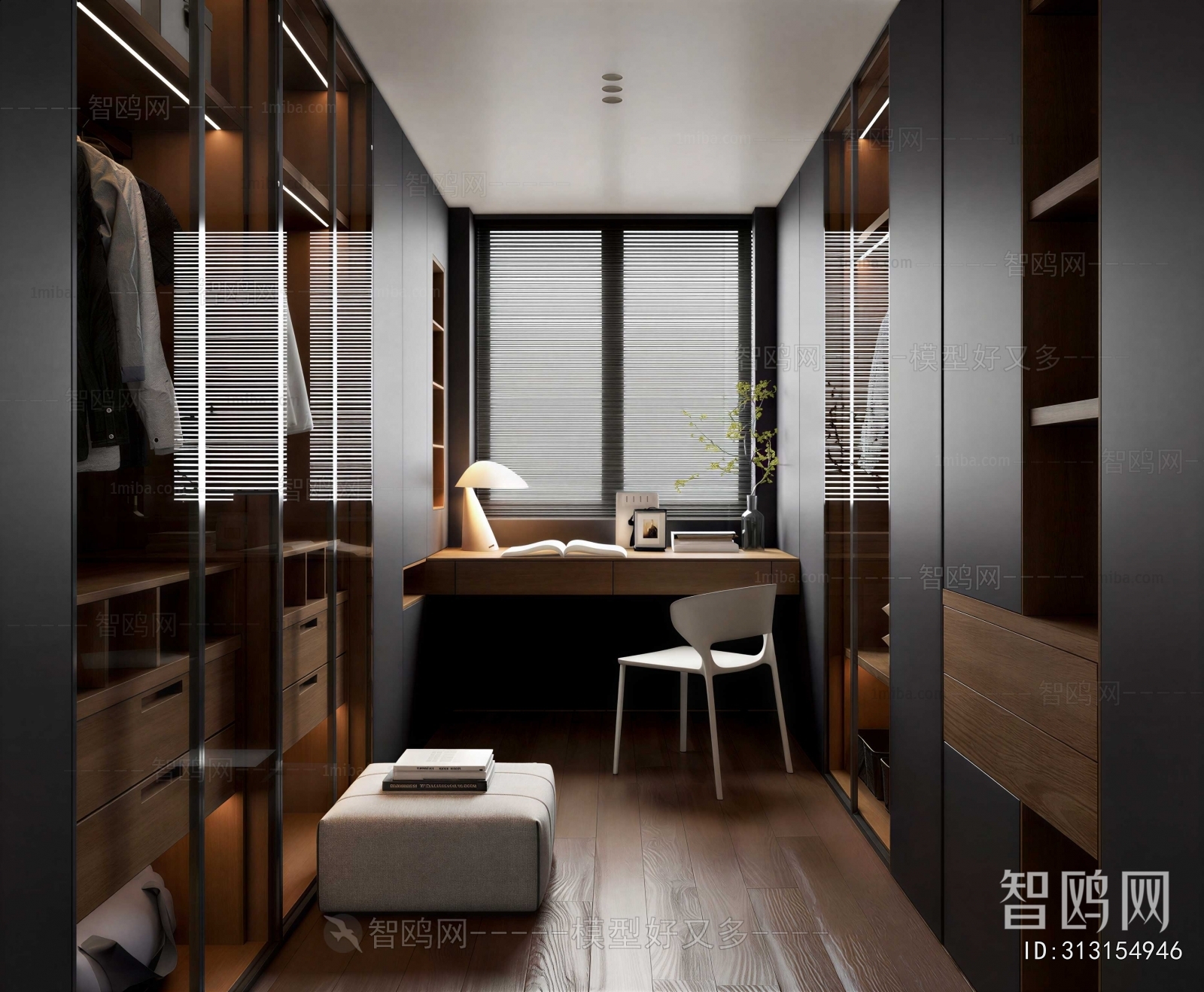 Modern Clothes Storage Area