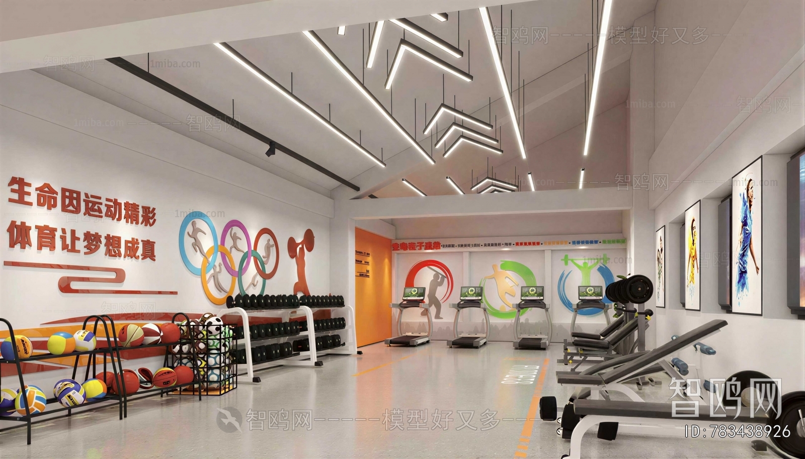 Modern Gym