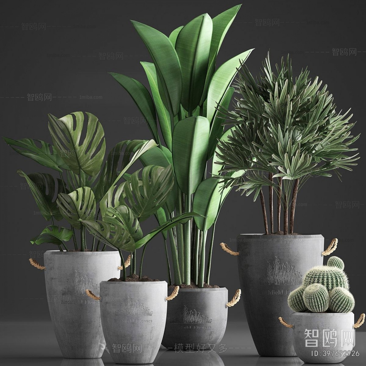 Modern Ground Green Plant Potted Plants