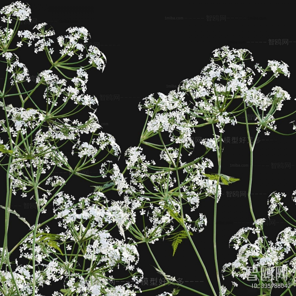 Modern Flowers And Grass