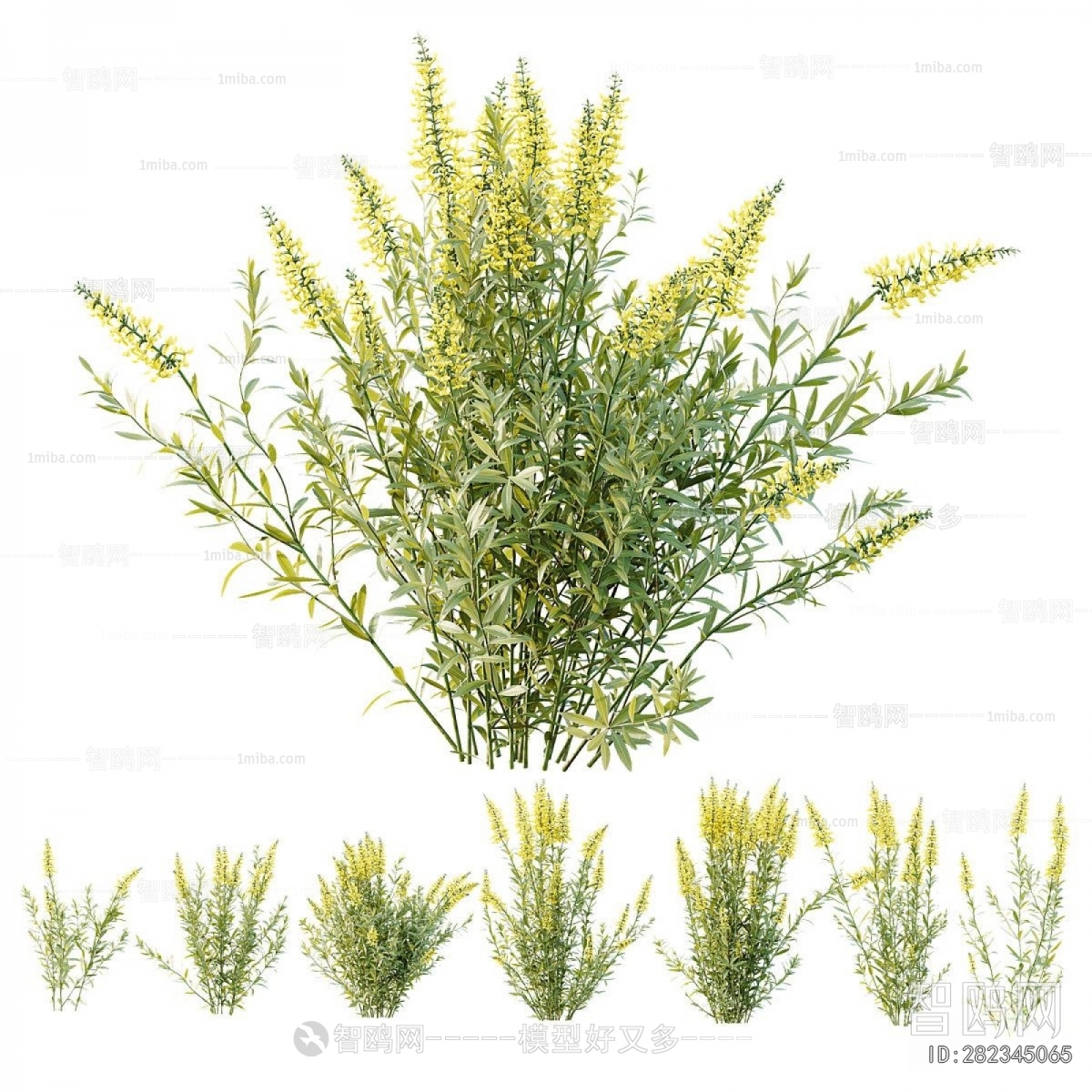 Modern Flowers And Grass