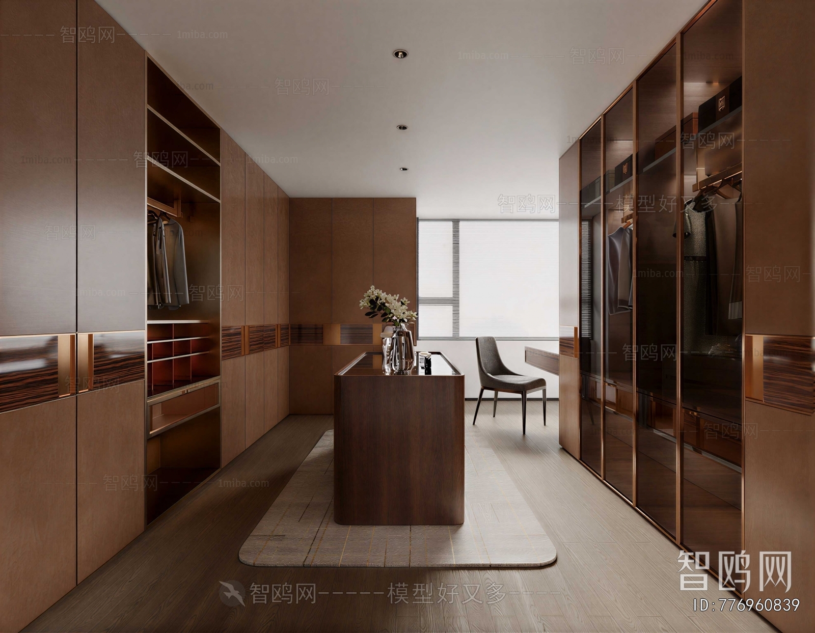 Modern Clothes Storage Area