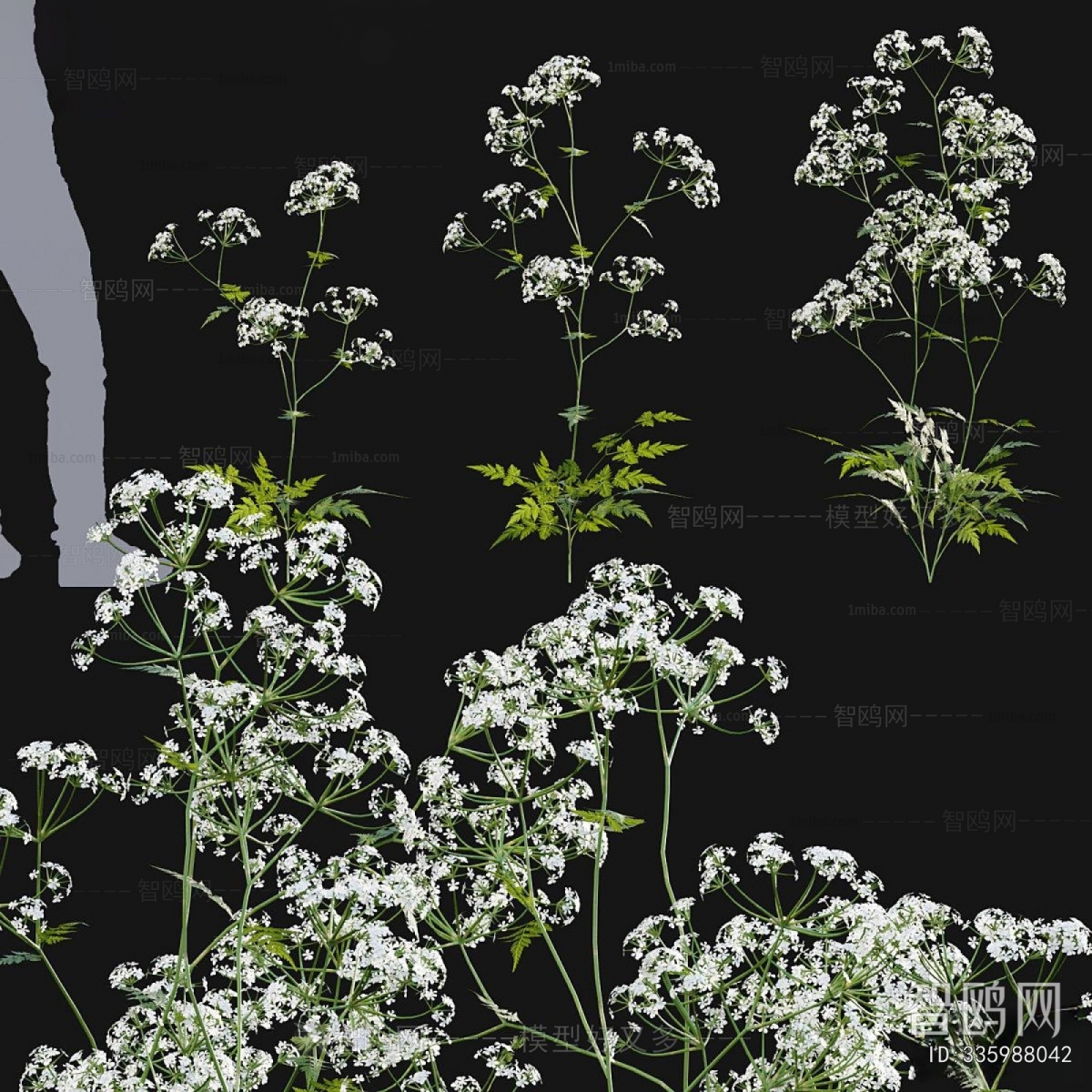 Modern Flowers And Grass