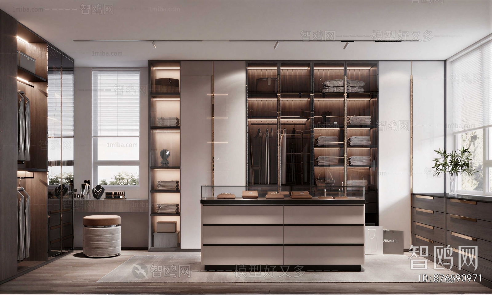 Modern Clothes Storage Area