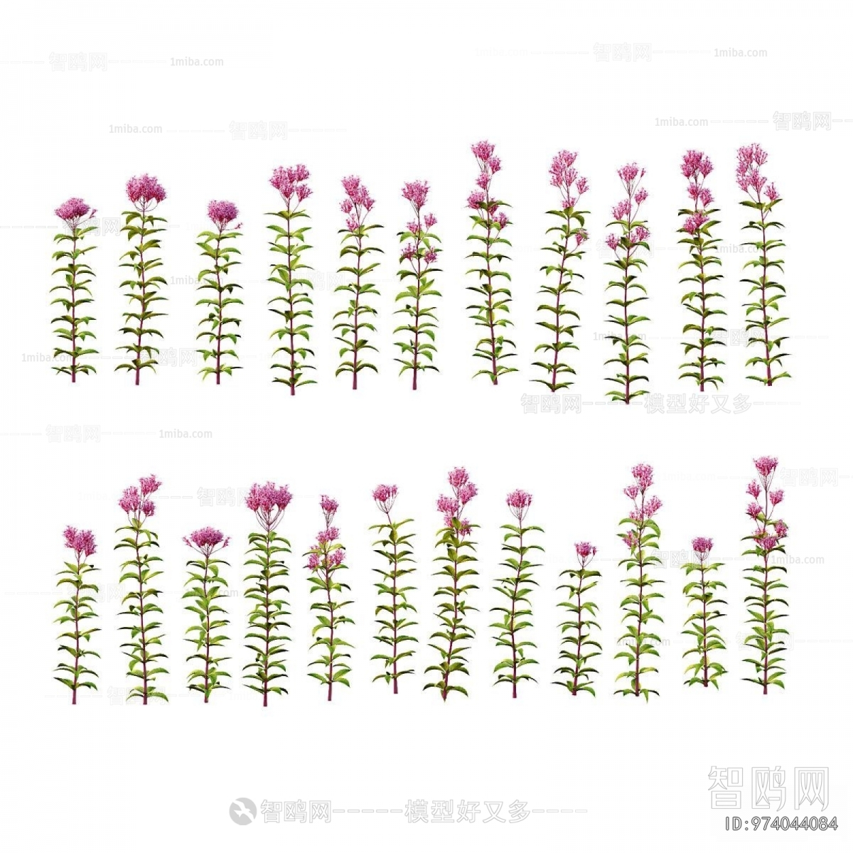 Modern Flowers And Grass