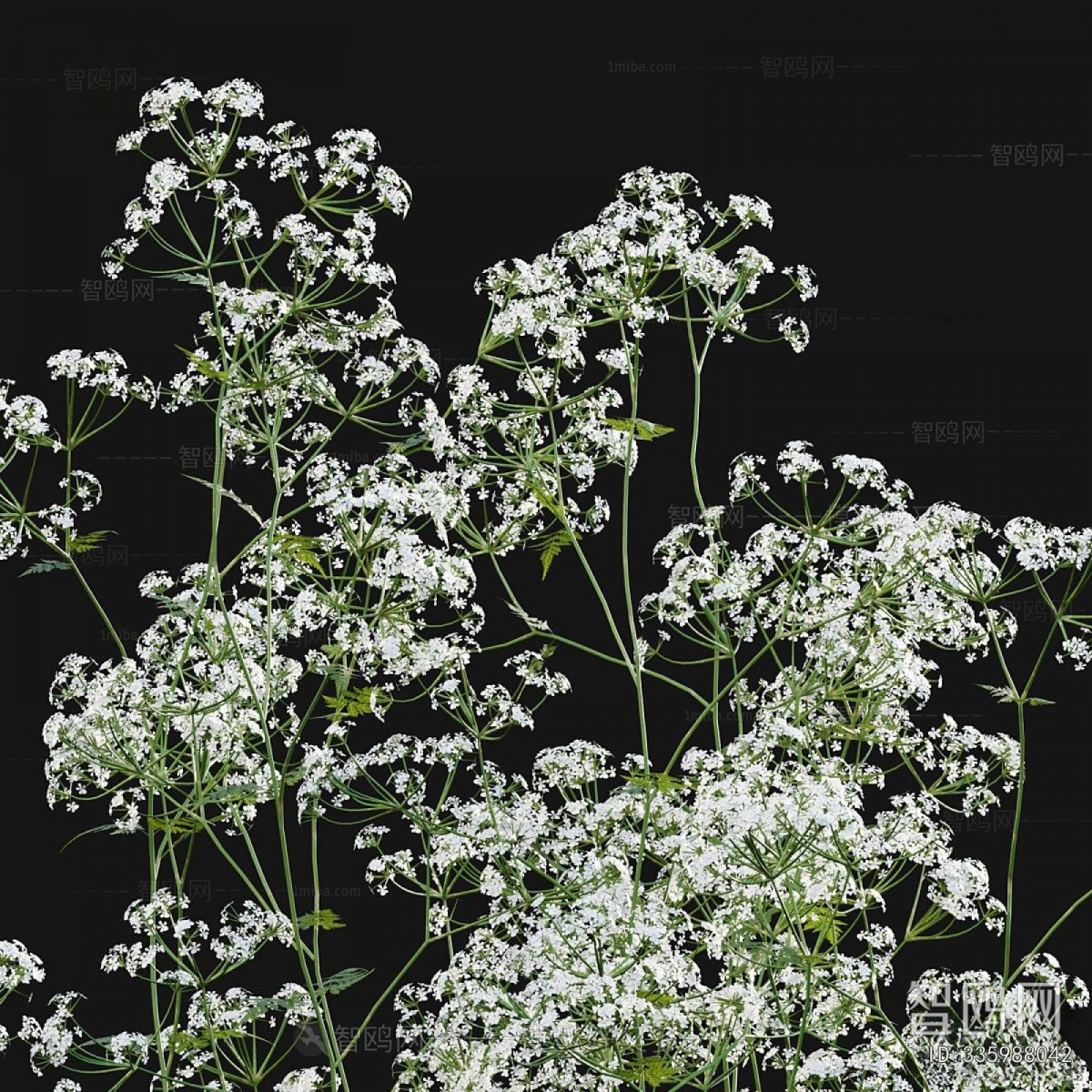 Modern Flowers And Grass