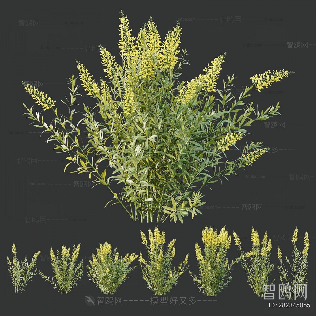 Modern Flowers And Grass