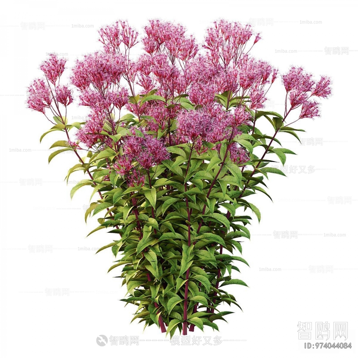 Modern Flowers And Grass