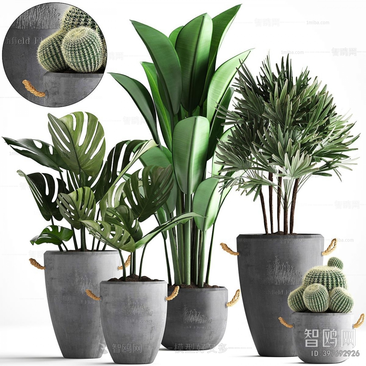 Modern Ground Green Plant Potted Plants