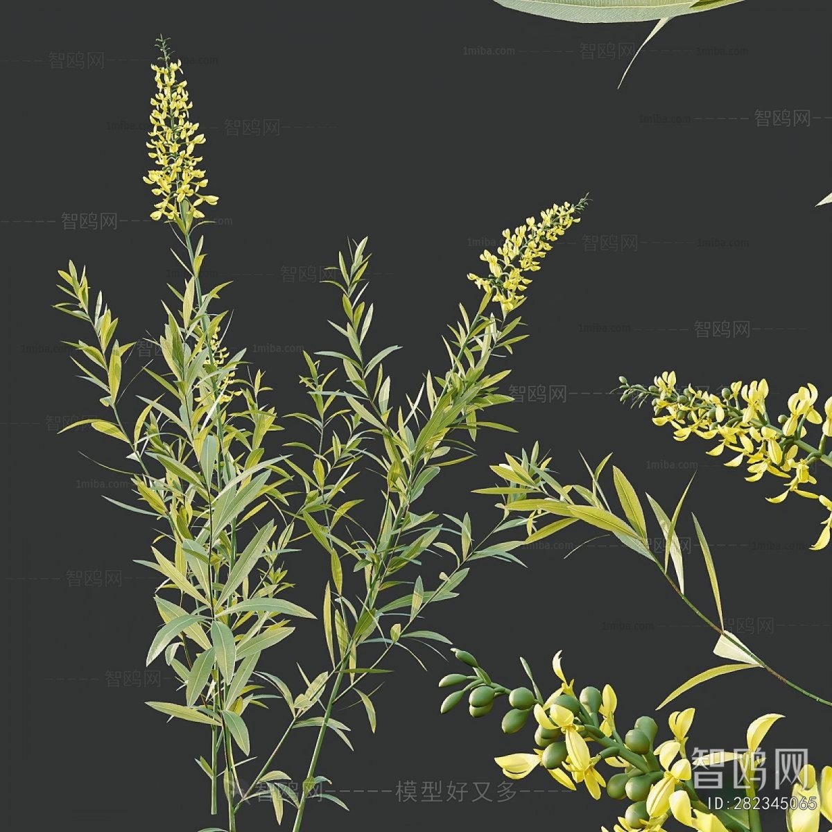 Modern Flowers And Grass