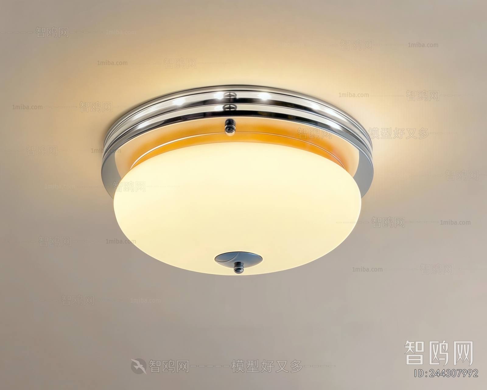Modern Ceiling Ceiling Lamp