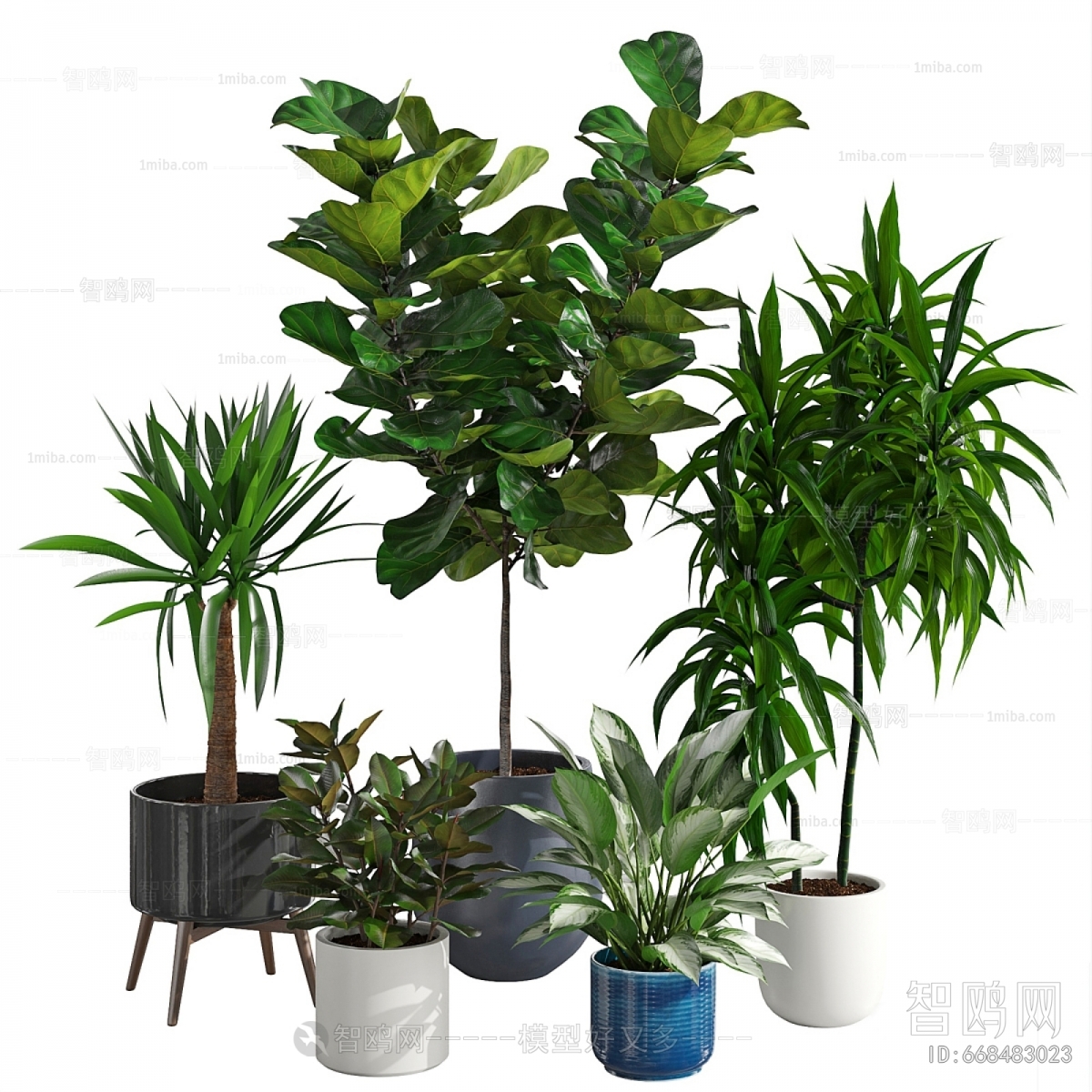 Modern Ground Green Plant Potted Plants