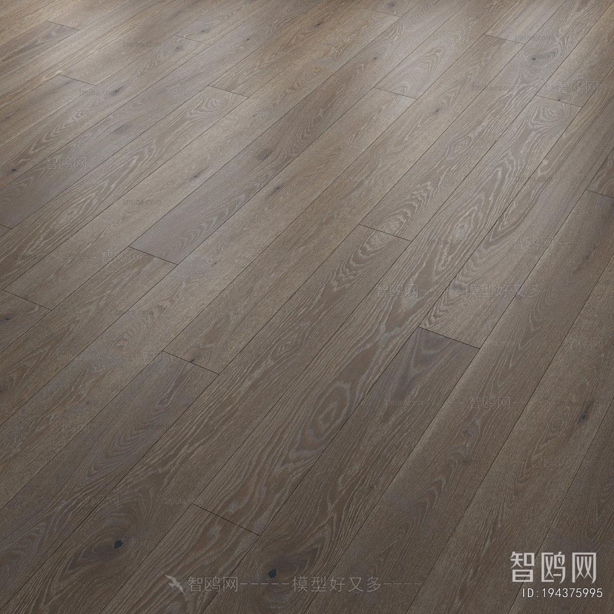 Modern Floor