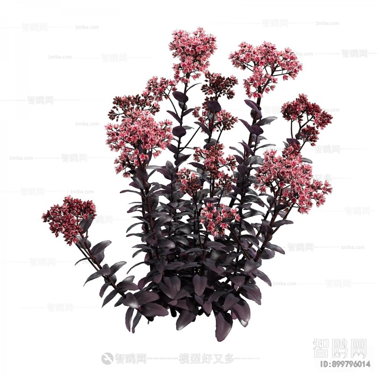 Modern Flowers And Grass