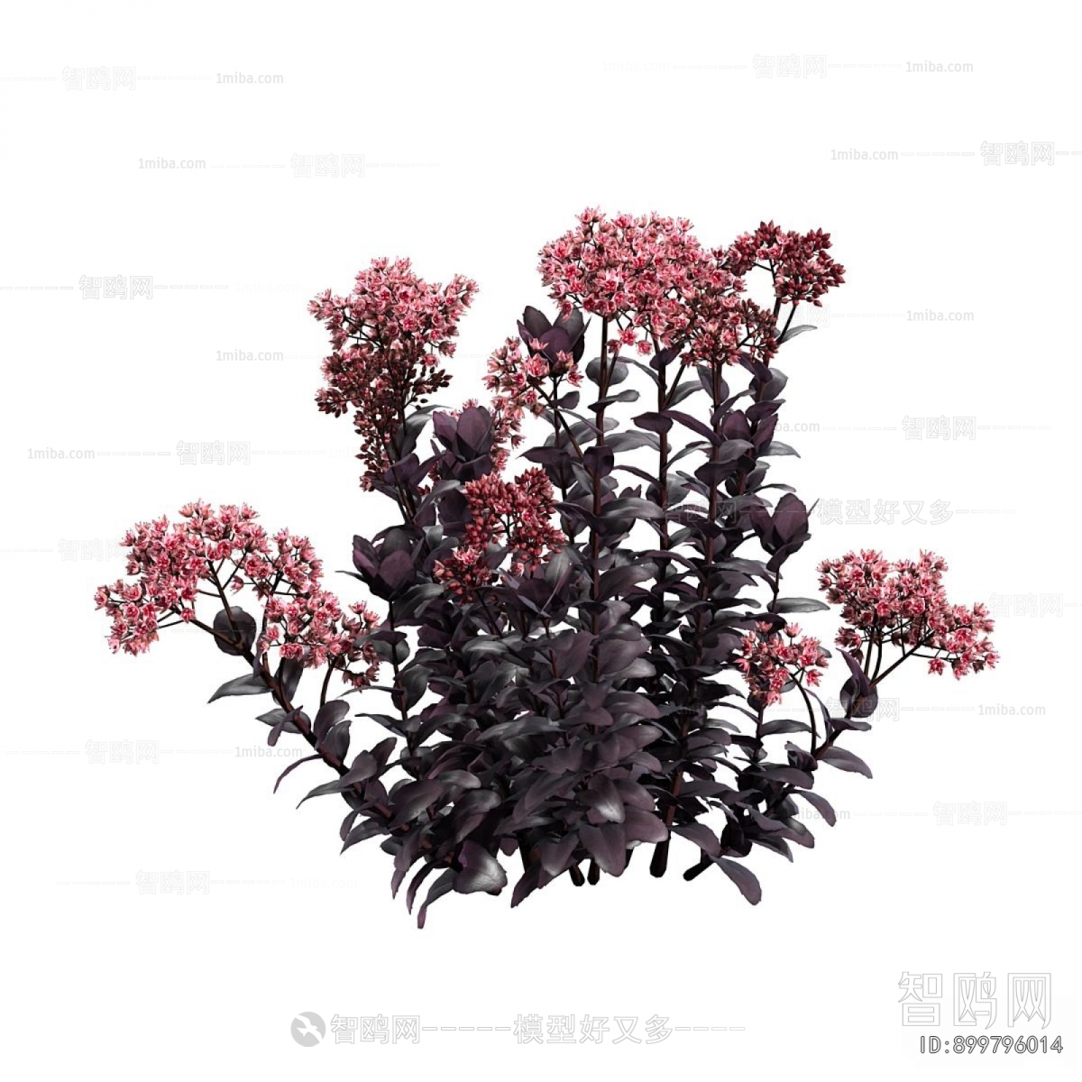 Modern Flowers And Grass