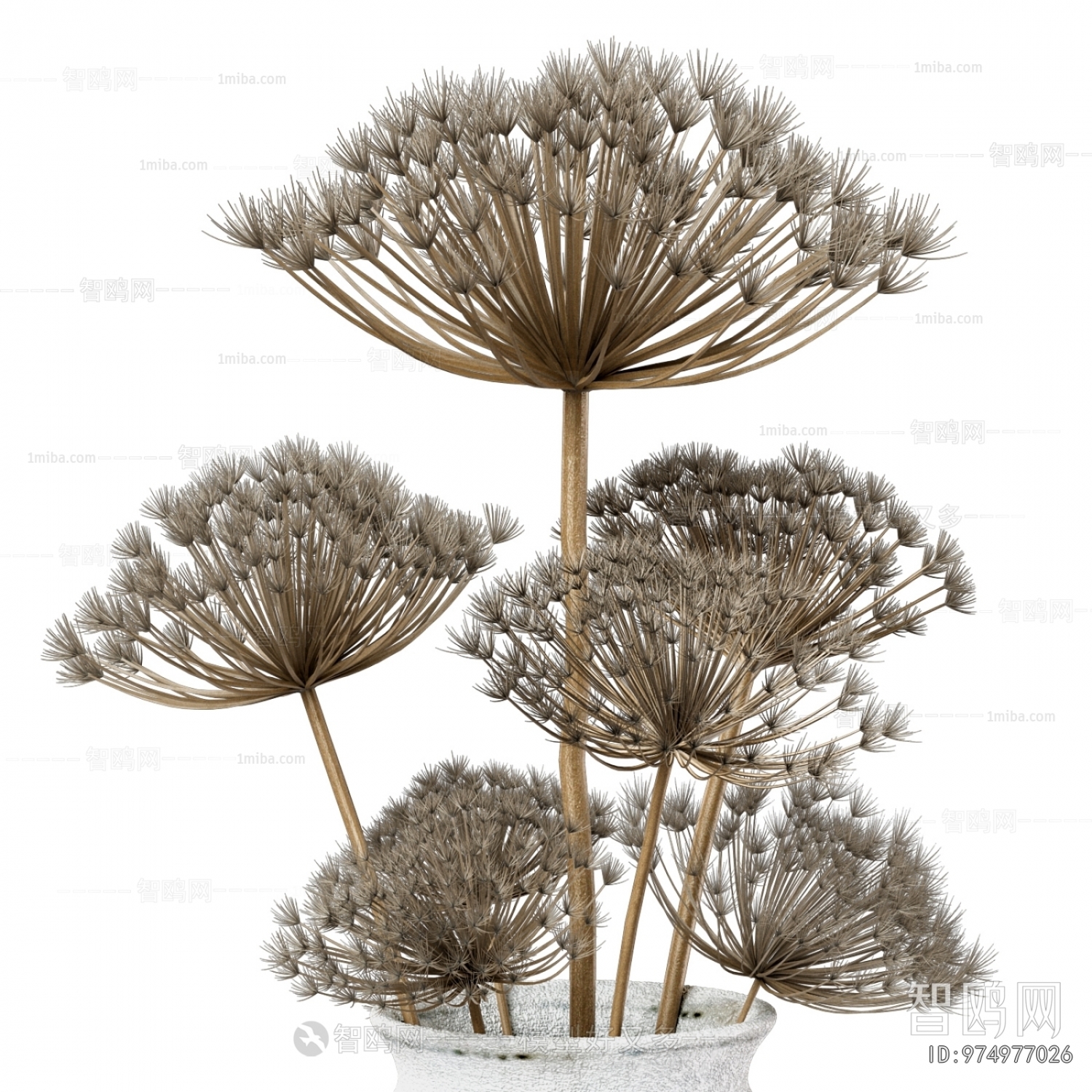 Wabi-sabi Style Dried Branch