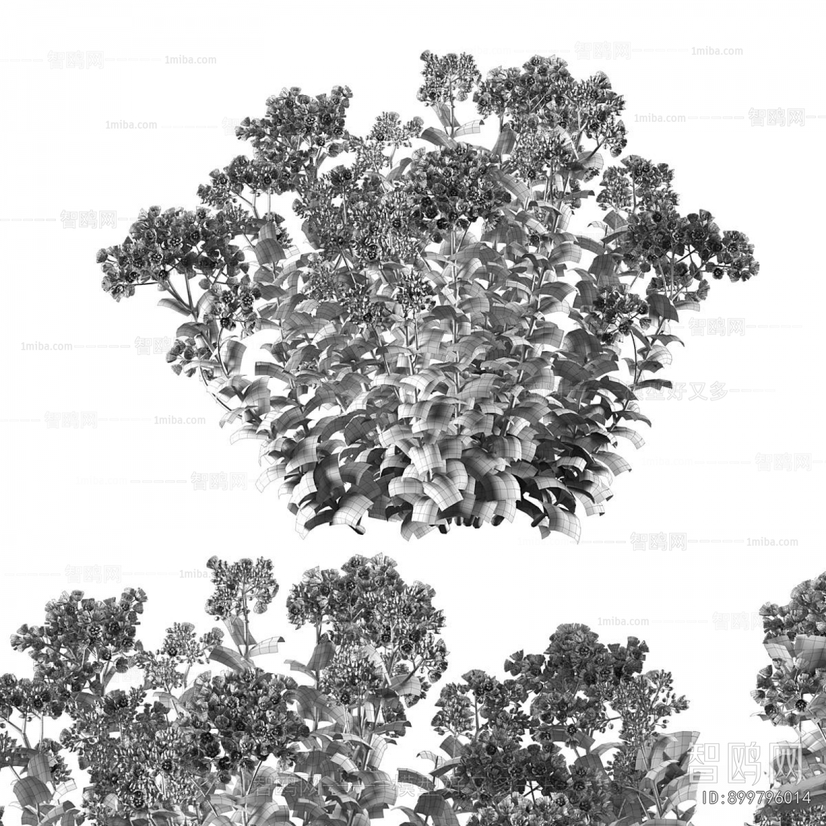 Modern Flowers And Grass