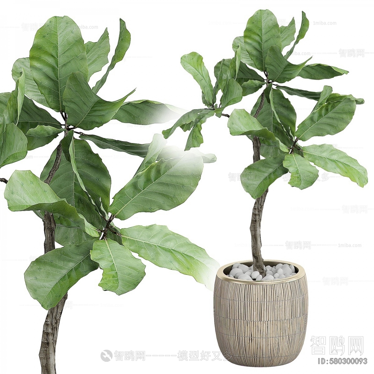 Modern Ground Green Plant Potted Plants