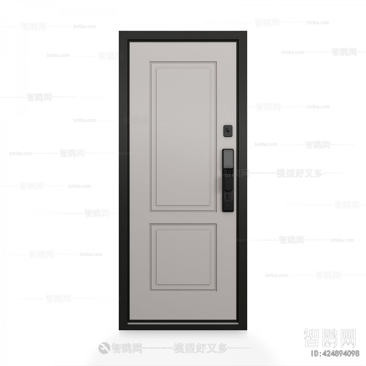 Modern Entrance Door