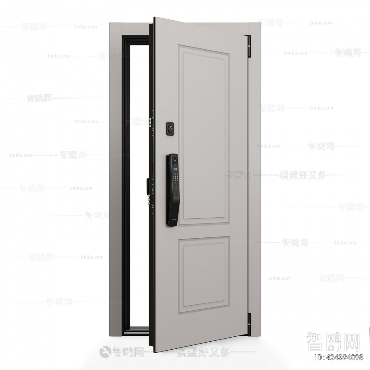 Modern Entrance Door