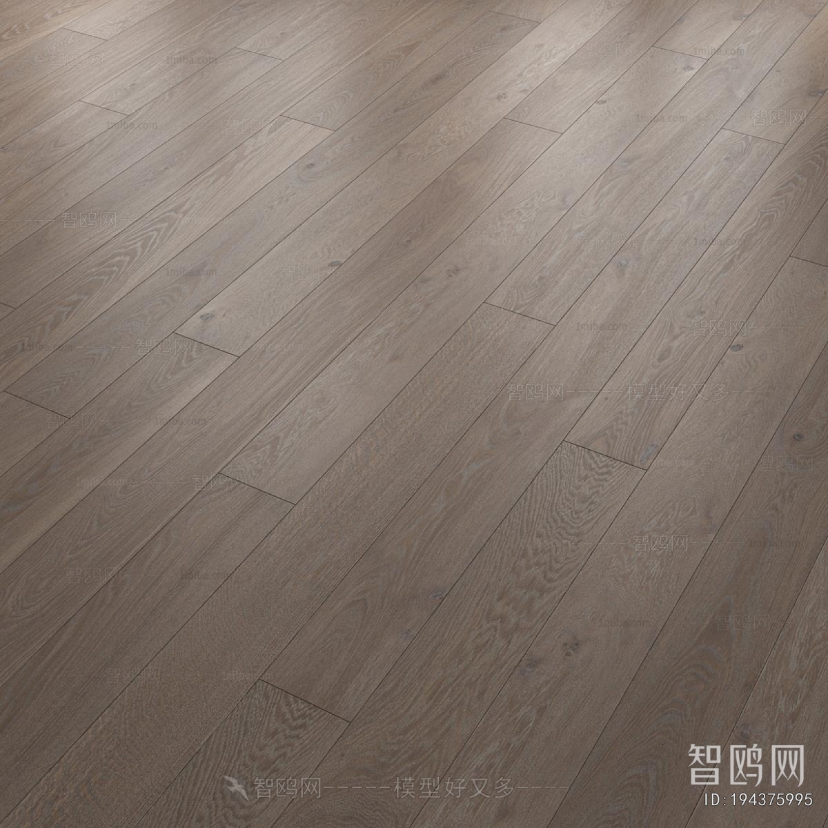 Modern Floor
