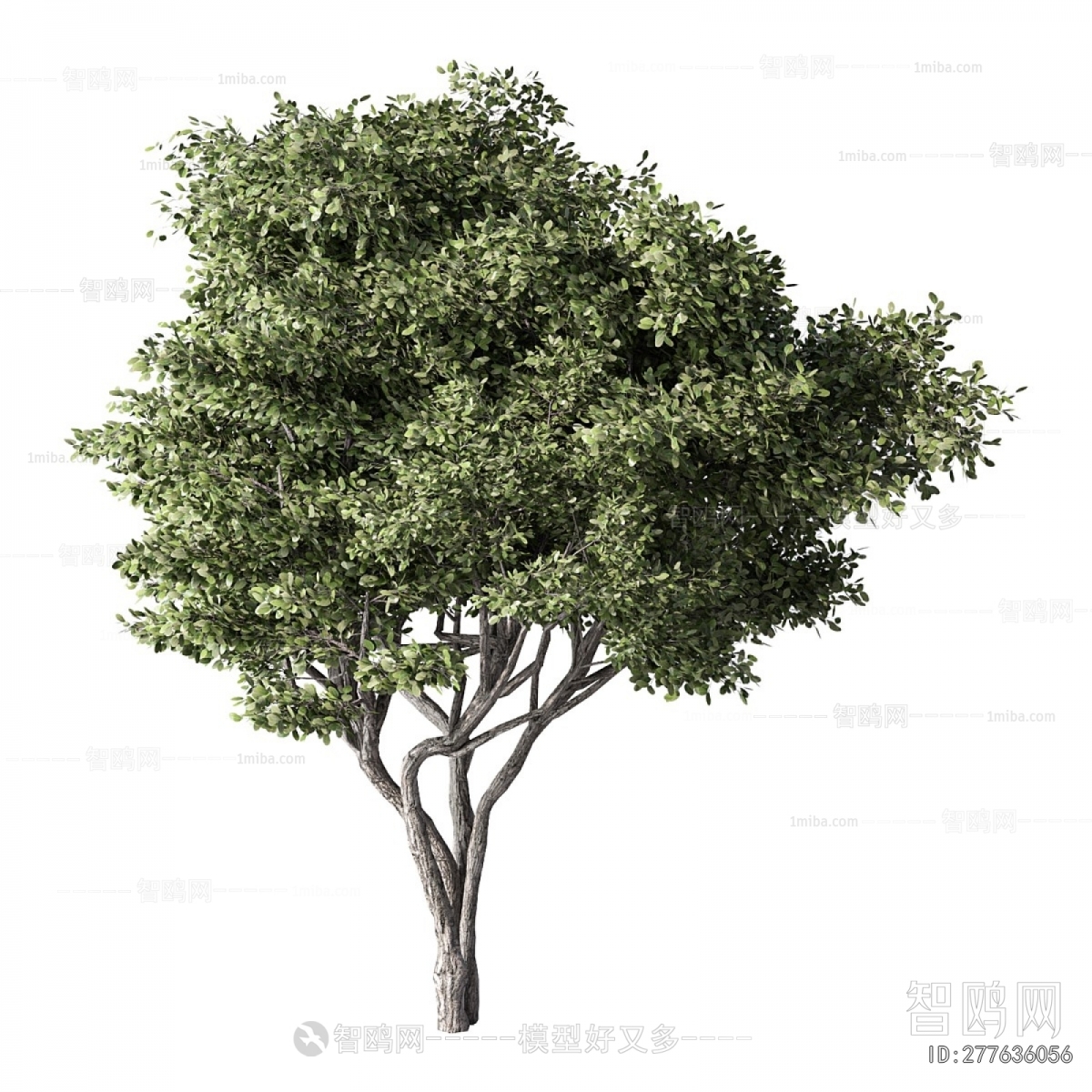 Modern Tree