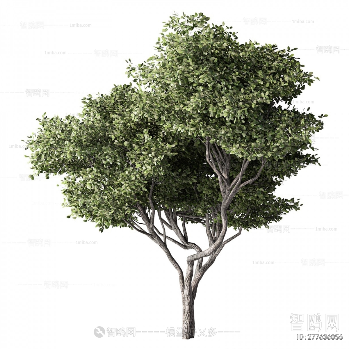 Modern Tree