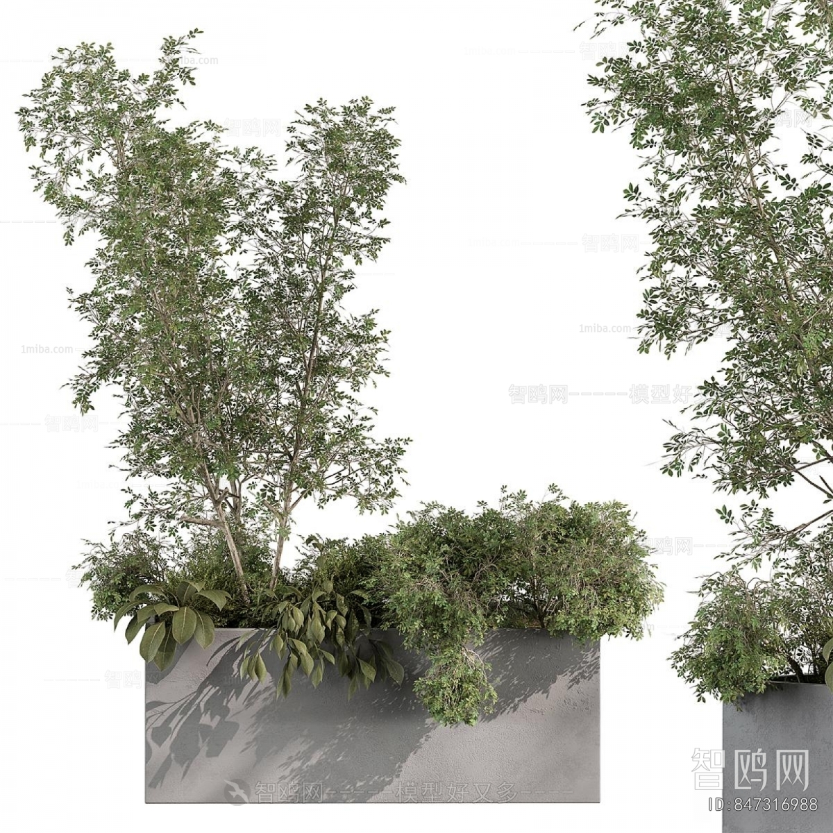 Modern Flower Bed, Flower Bowl, Flower Box