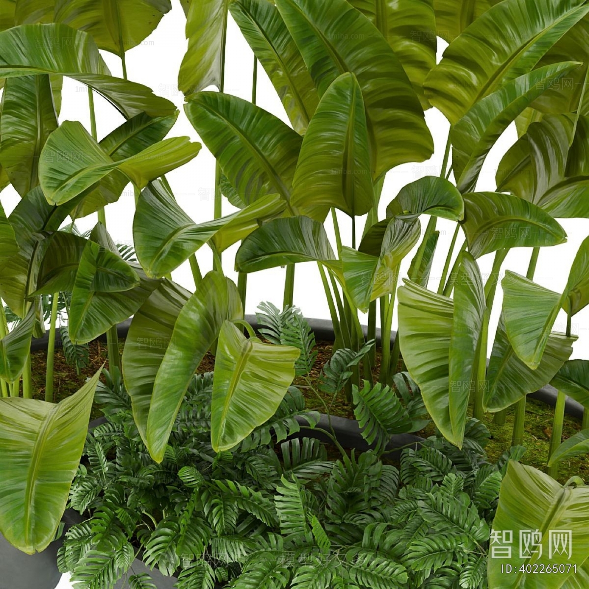 Modern Flower Bed, Flower Bowl, Flower Box
