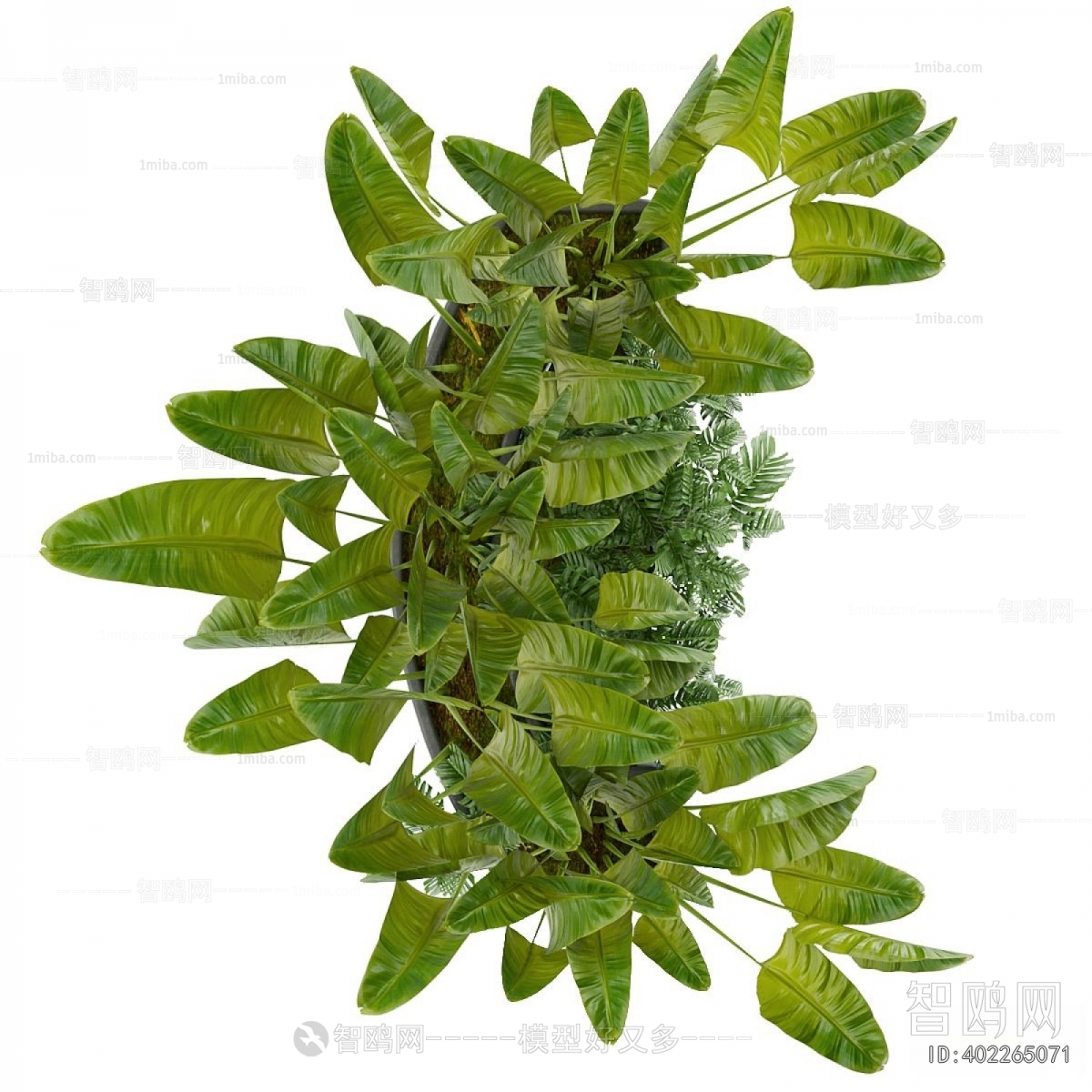 Modern Flower Bed, Flower Bowl, Flower Box