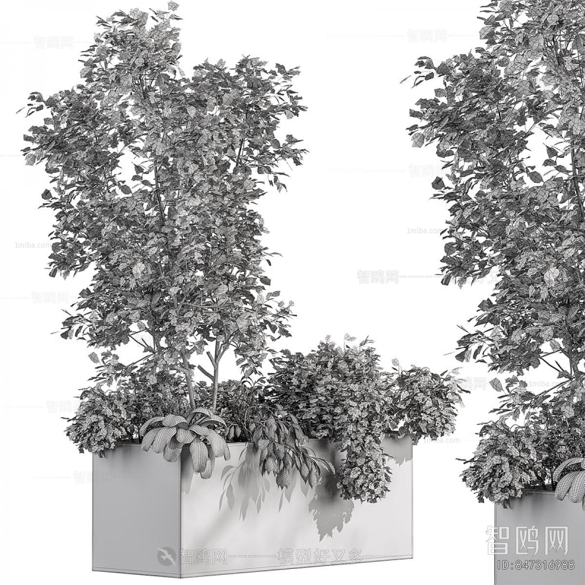 Modern Flower Bed, Flower Bowl, Flower Box