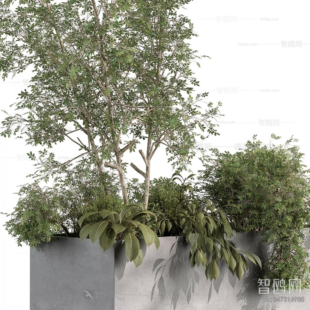 Modern Flower Bed, Flower Bowl, Flower Box