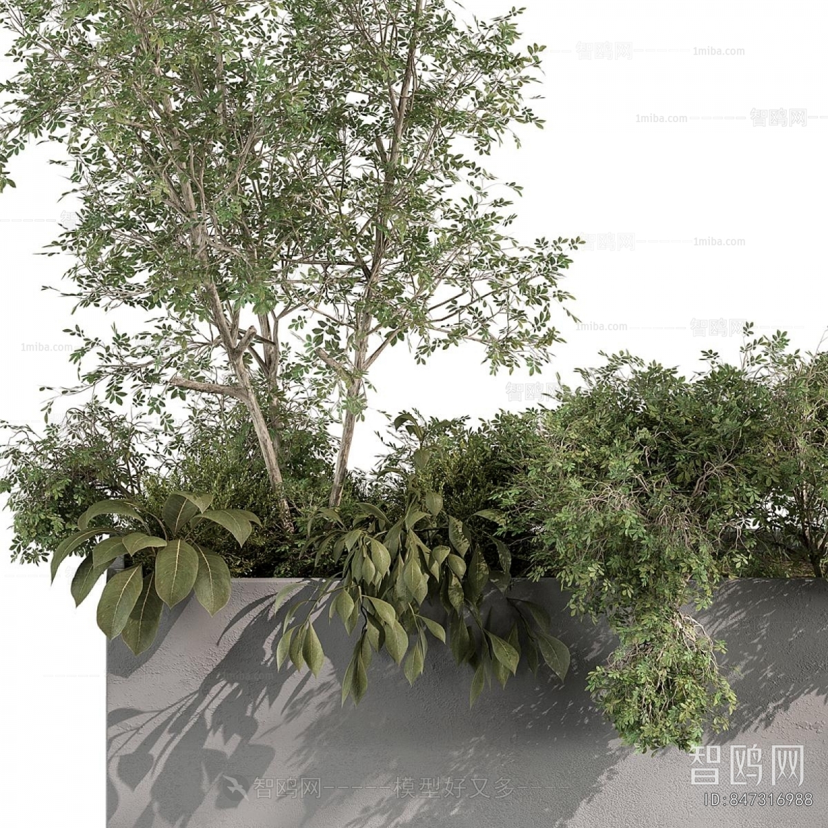 Modern Flower Bed, Flower Bowl, Flower Box