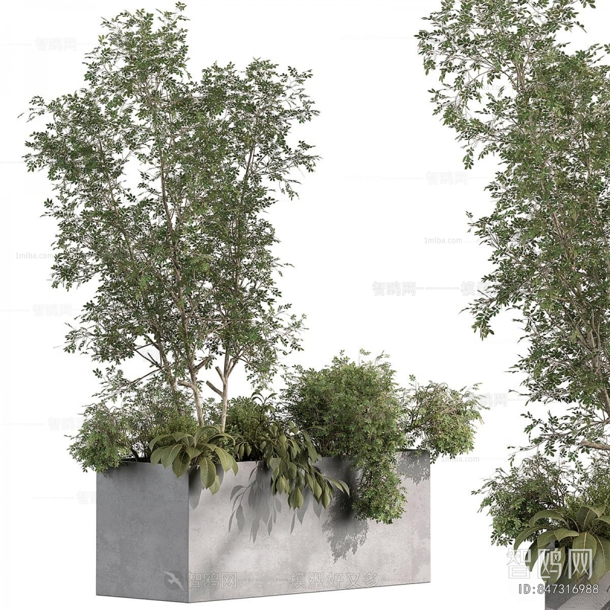 Modern Flower Bed, Flower Bowl, Flower Box