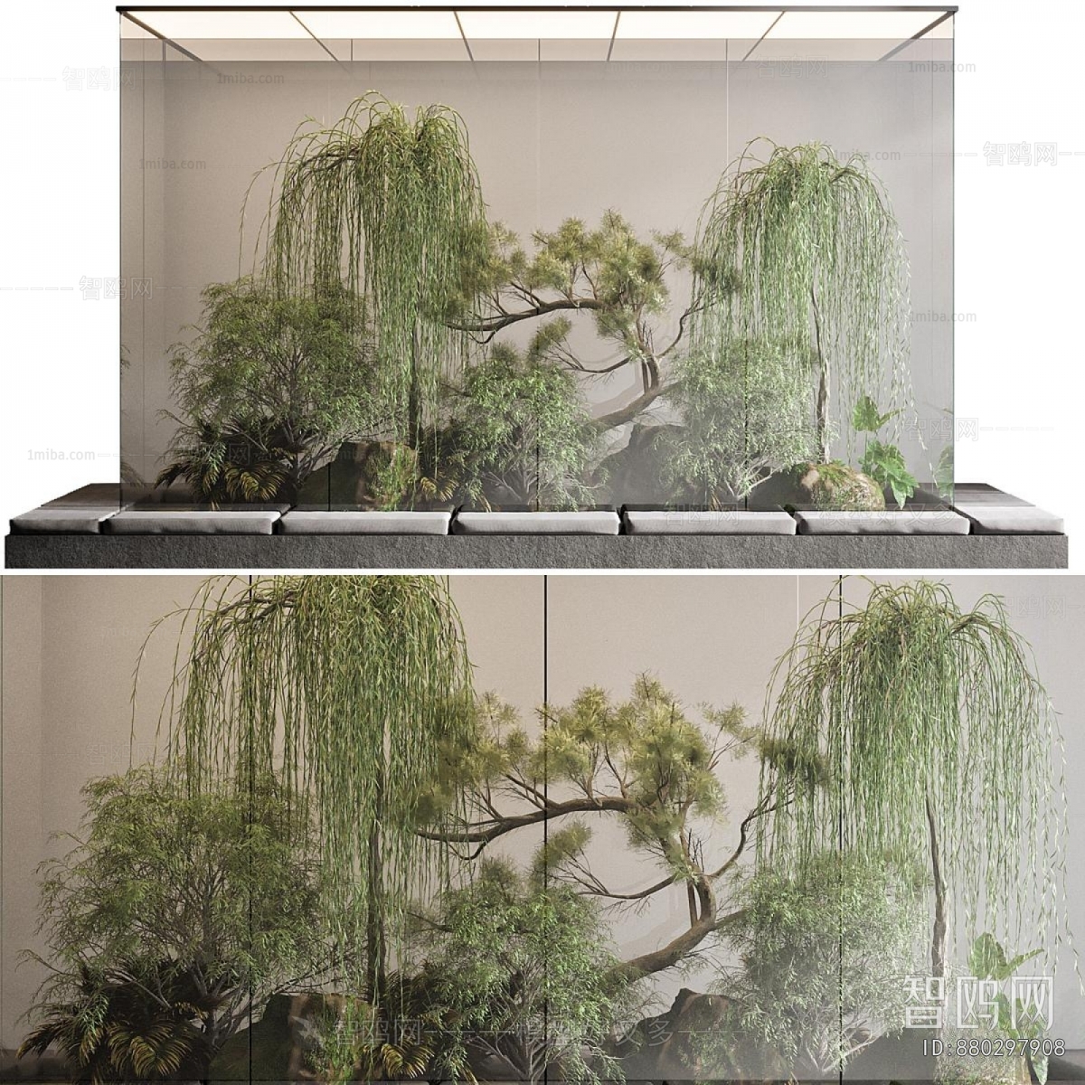 Modern Plant Landscaping