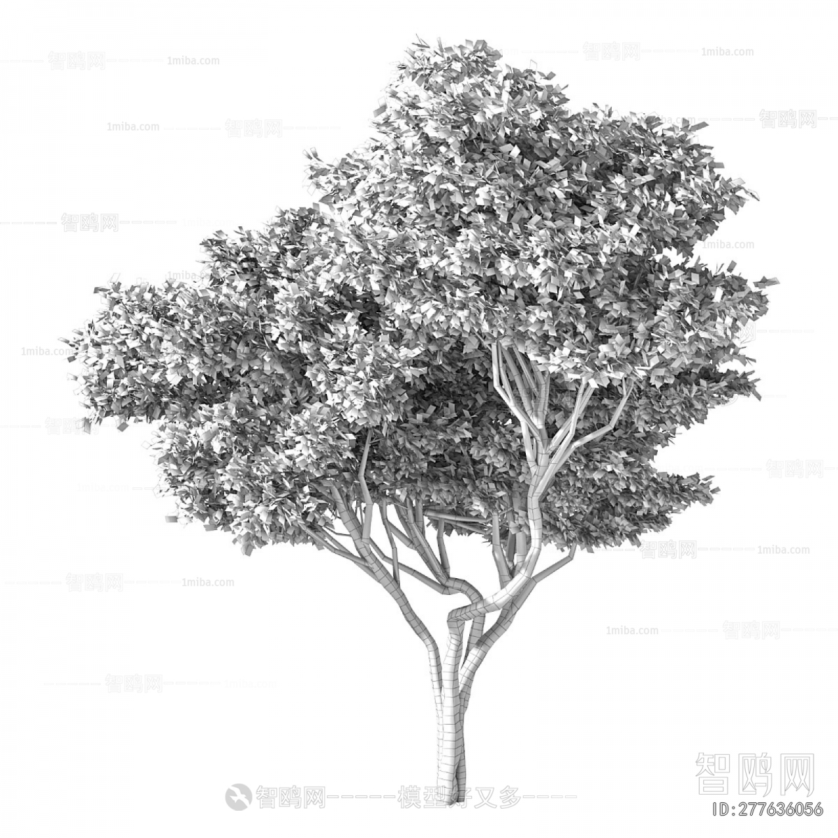 Modern Tree