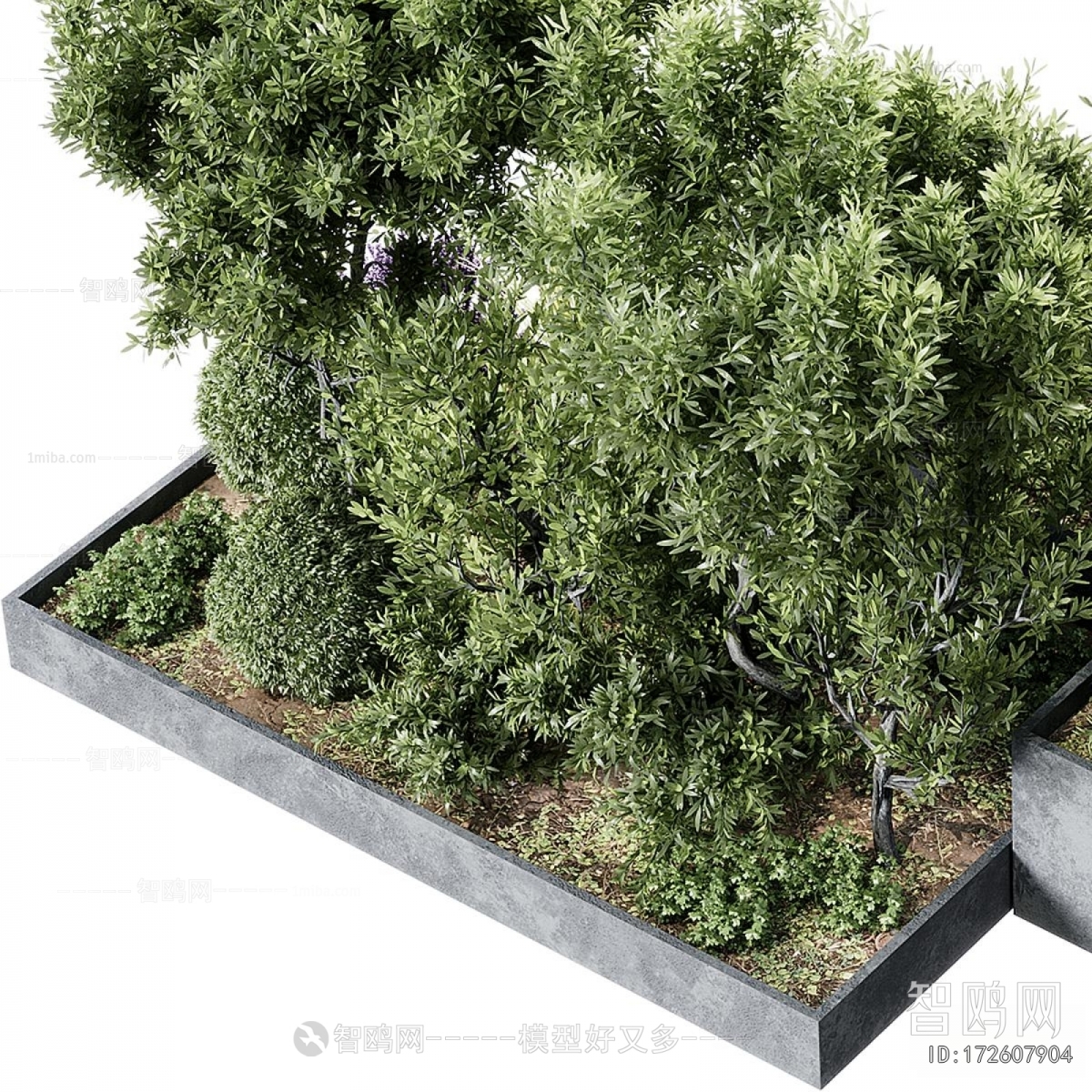 Modern Shrubbery
