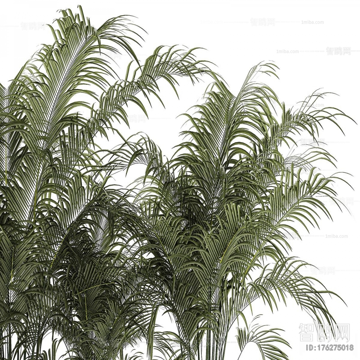 Modern Flower Bed, Flower Bowl, Flower Box