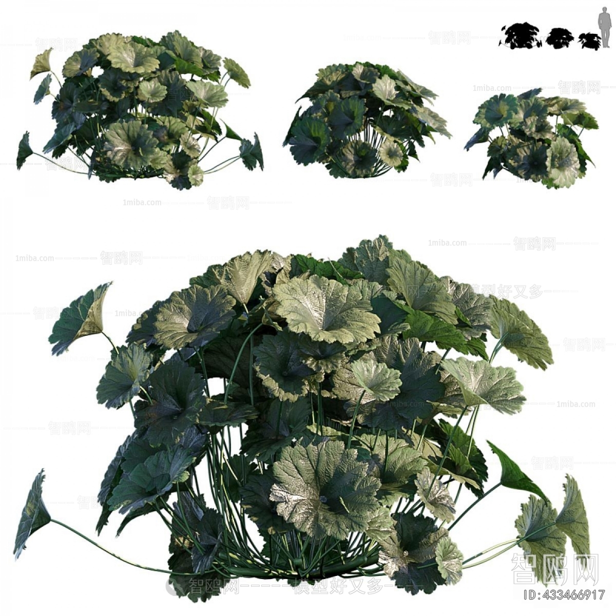 Modern Flowers And Grass