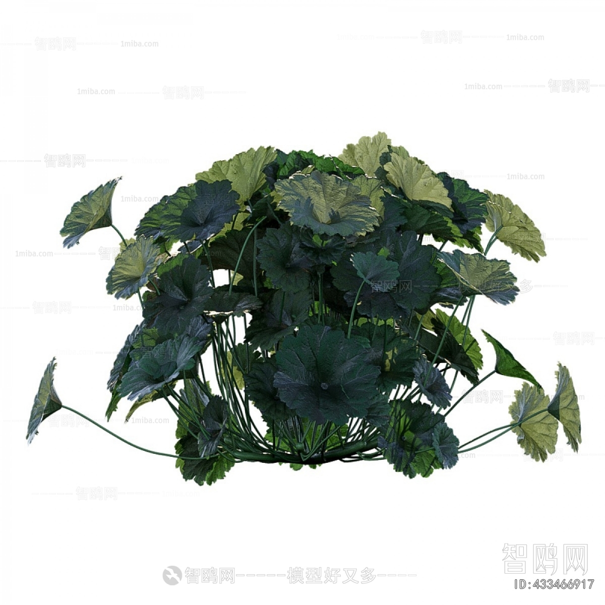 Modern Flowers And Grass