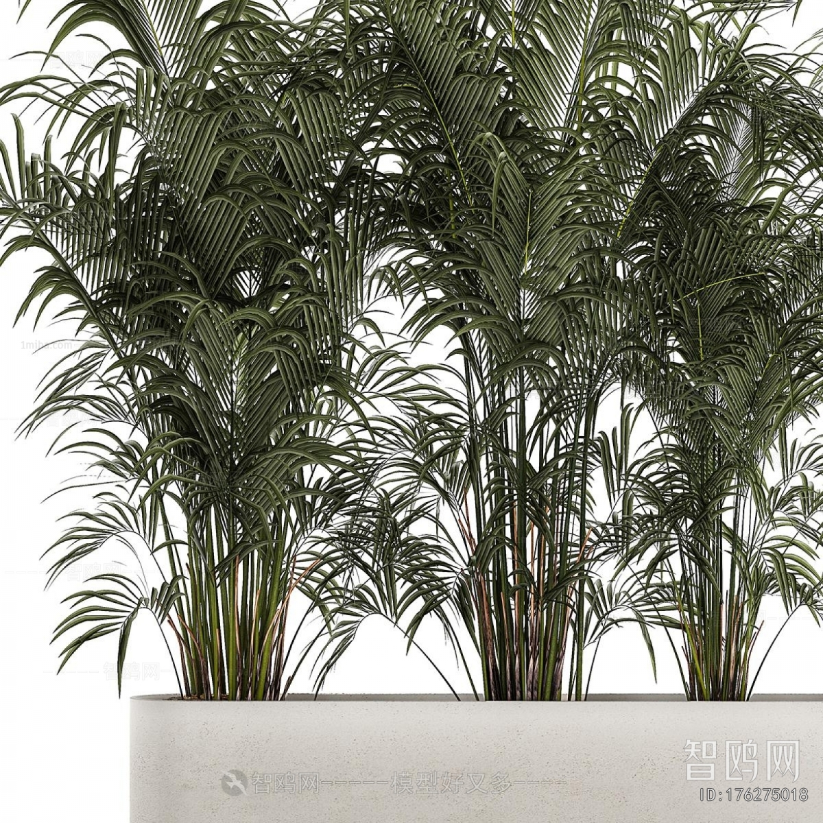 Modern Flower Bed, Flower Bowl, Flower Box