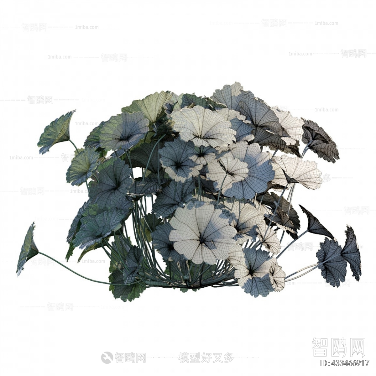 Modern Flowers And Grass