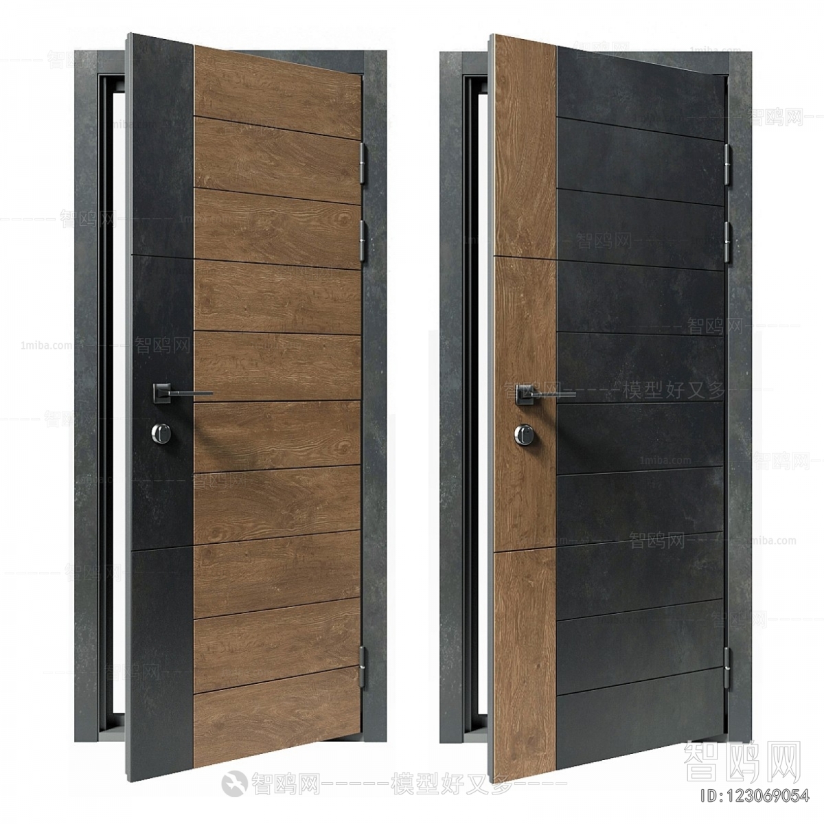 Modern Entrance Door