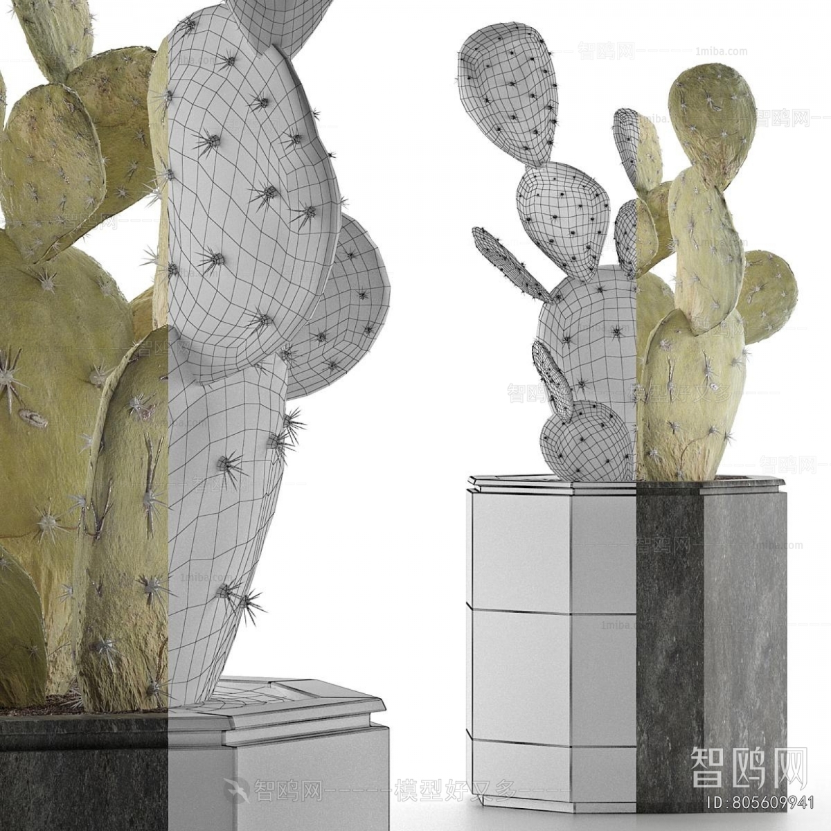 Modern Potted Green Plant