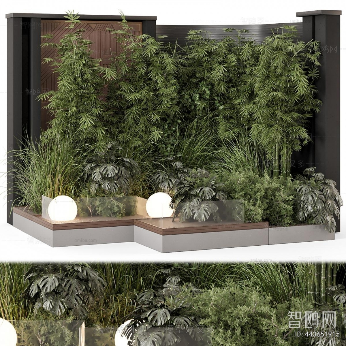 Modern Plant Landscaping