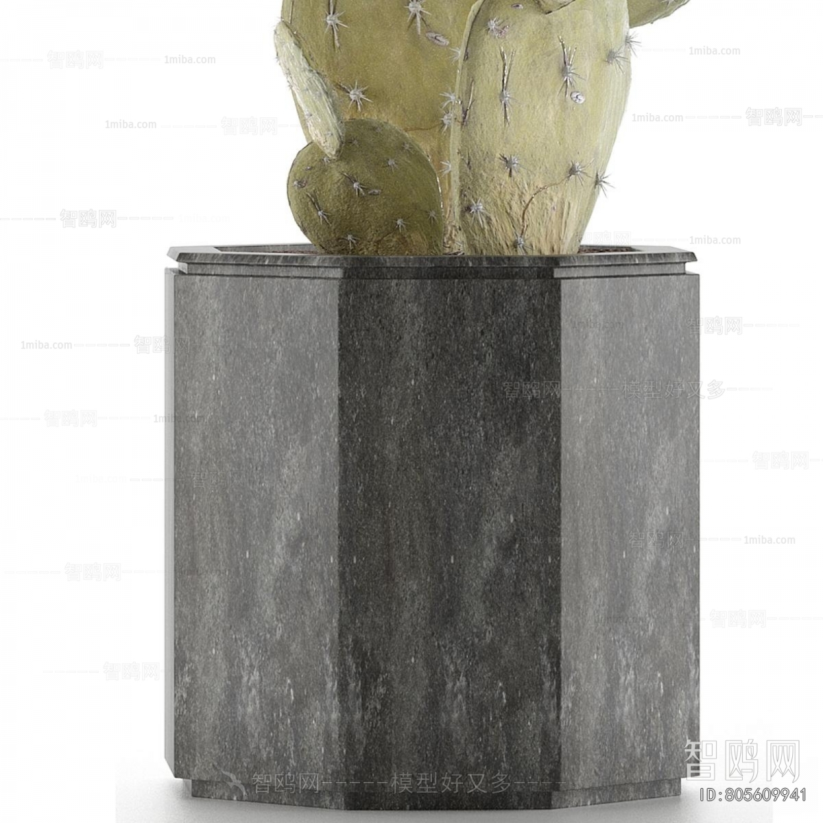 Modern Potted Green Plant