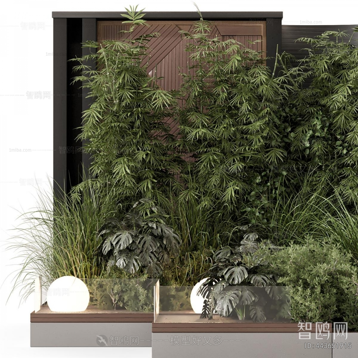 Modern Plant Landscaping