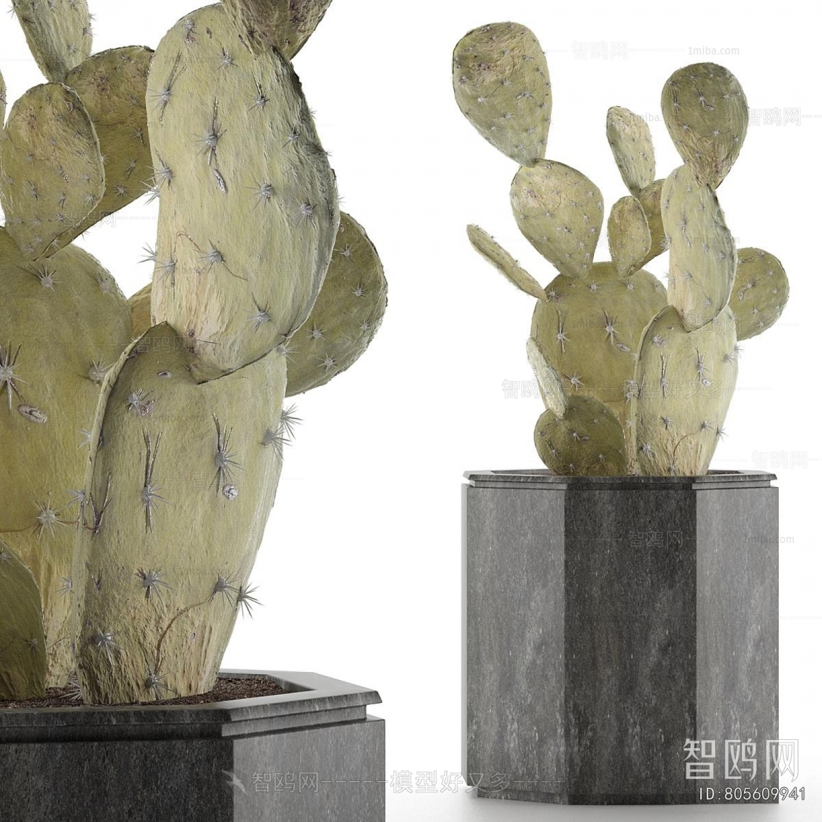 Modern Potted Green Plant