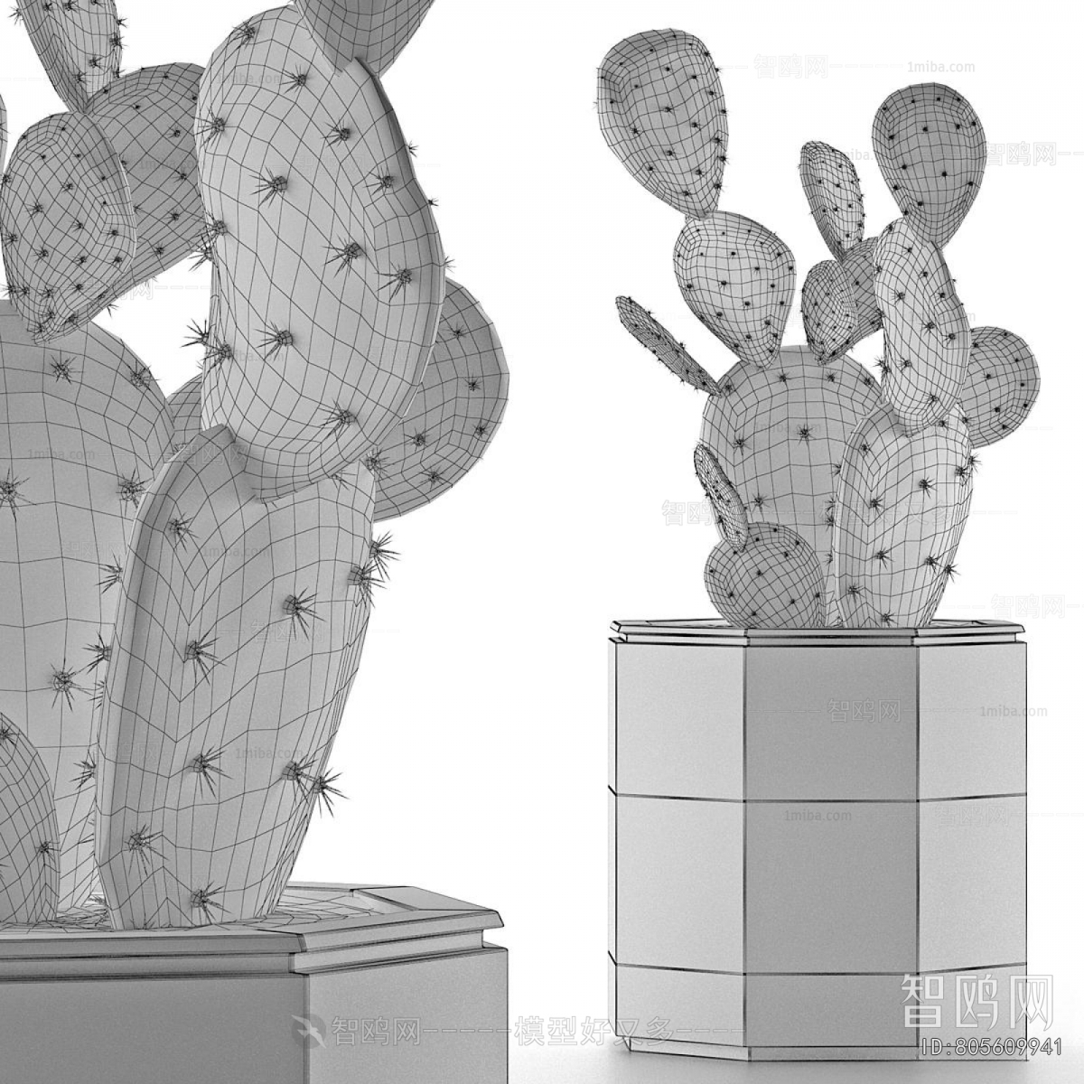 Modern Potted Green Plant