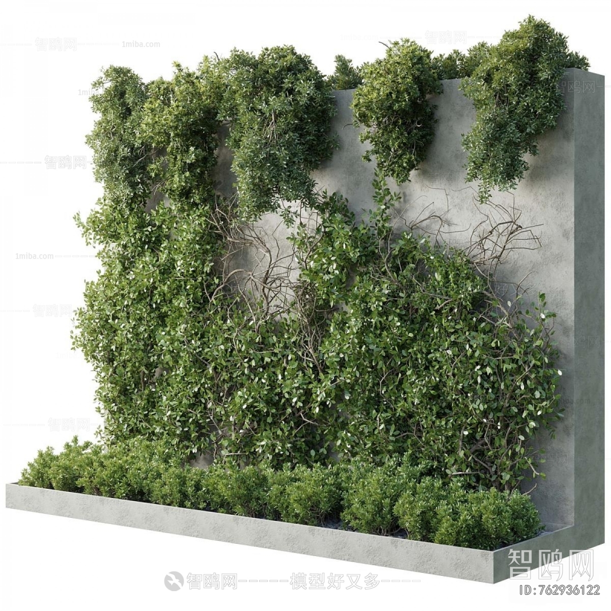 Modern Plant Wall